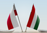 In the international freedom and democracy indexes, Poland is falling in solidarity with Hungary